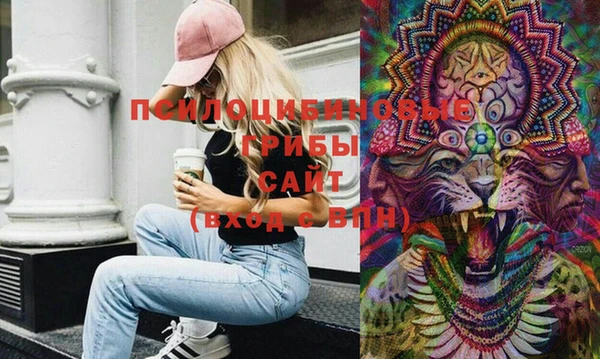 spice Алзамай