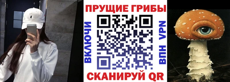 blacksprut ТОР  наркота  Новоалтайск  Псилоцибиновые грибы ЛСД 