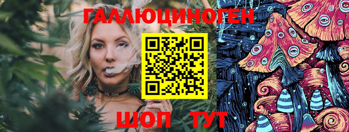 Новоалтайск  Галлюциногенные грибы GOLDEN TEACHER  Вход с VPN  Галлюциногенные грибы MAGIC MUSHROOMS 