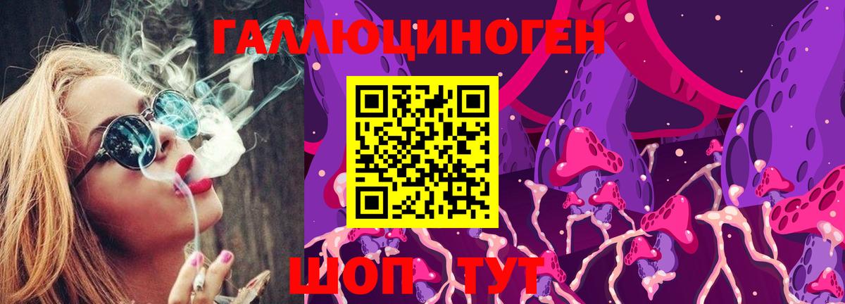 Галлюциногенные грибы Psilocybe Новоалтайск